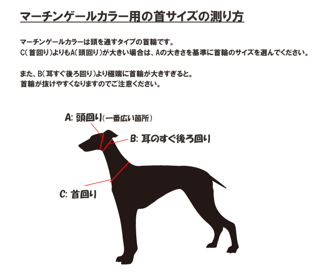 マーチンゲールカラー用の犬のサイズの測り方